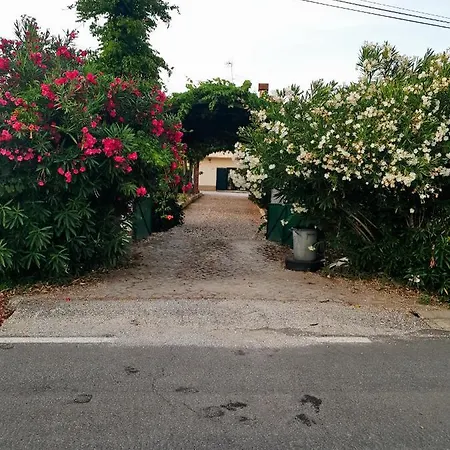 Estudio Tana * Pedrogao Grande