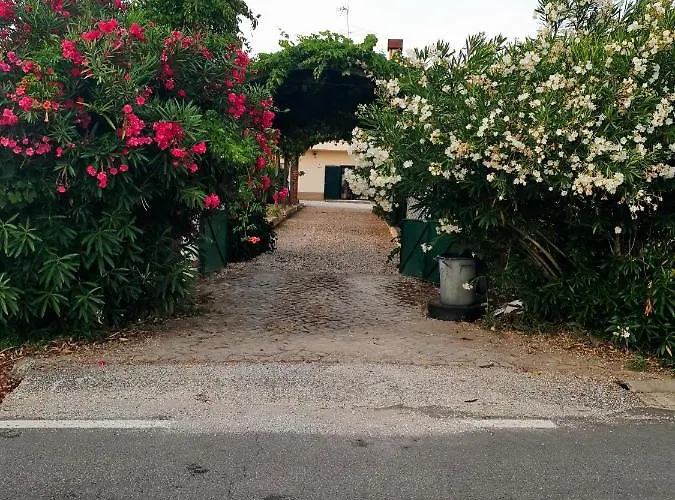 Estudio Tana * Pedrogao Grande